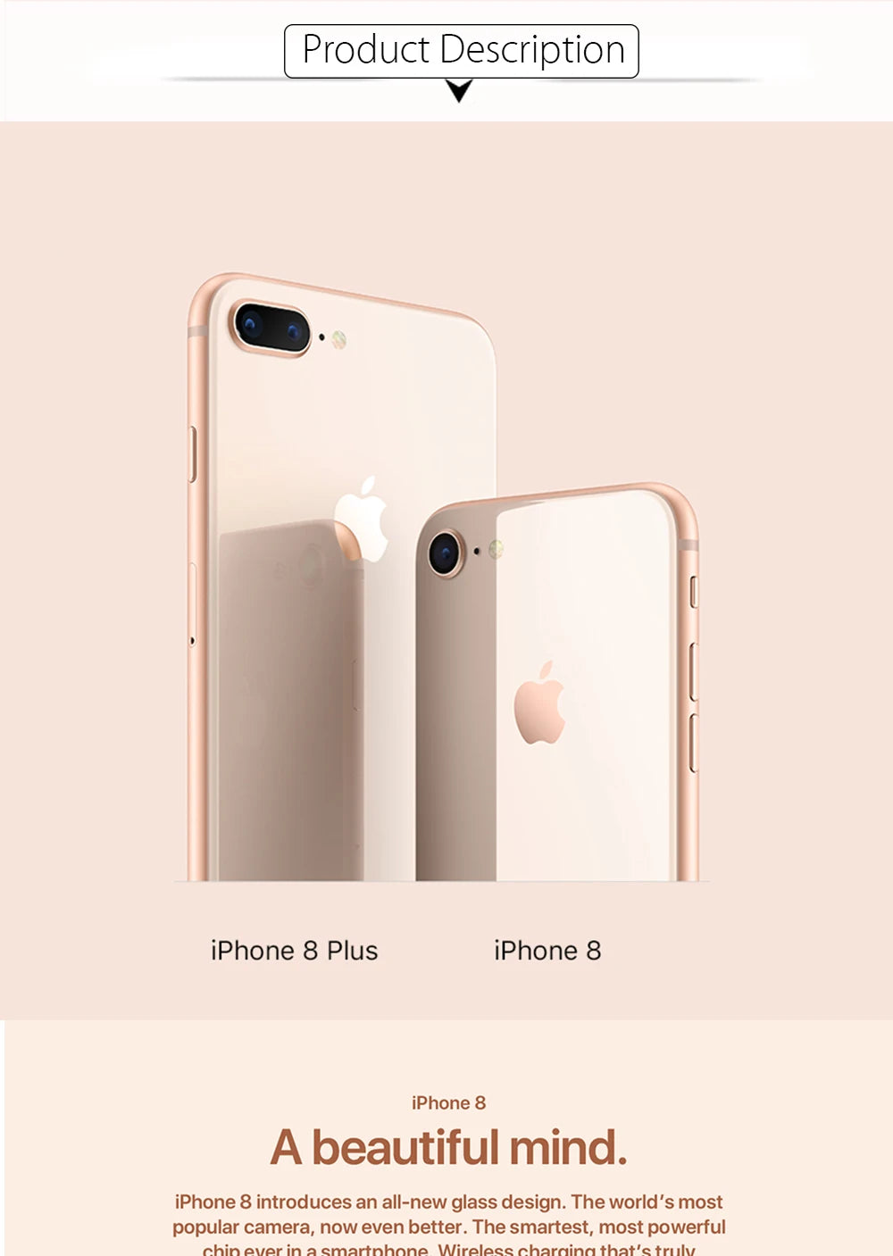 iPhone 8/iPhone8 Plus 8P 4.7'/5.5' Original Retina IPS LCD RAM 3GB ROM 64/256GB Hexa Core 12MP Fingerprint iOS 4G LTE Phone