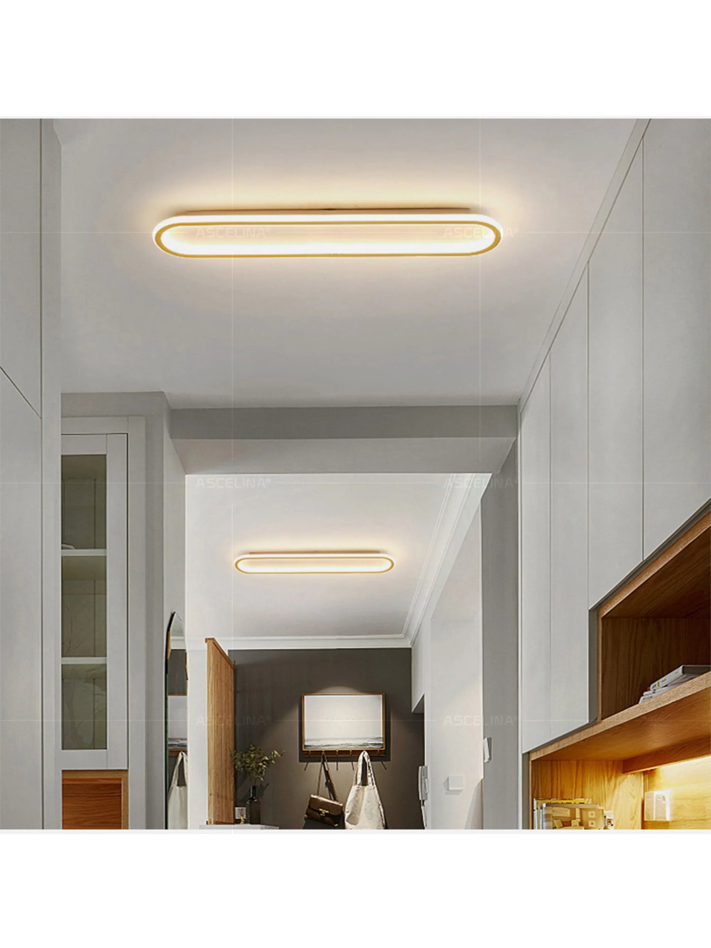 LED Modern Ceiling Light Oval Black Corridor 40/60/80CM Lamp For Bedroom Gallery Porch Living Room Hotel Indoor Lighting Fixture