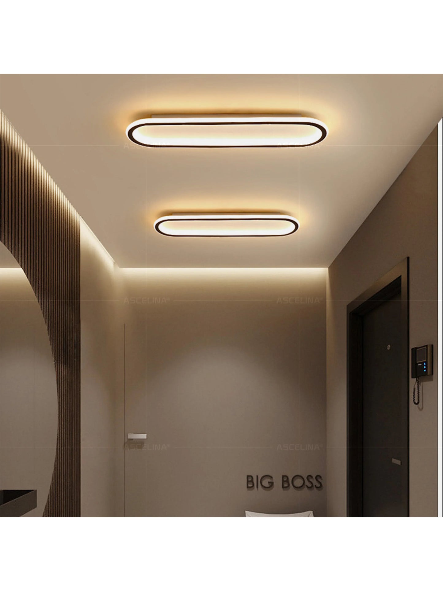 LED Modern Ceiling Light Oval Black Corridor 40/60/80CM Lamp For Bedroom Gallery Porch Living Room Hotel Indoor Lighting Fixture