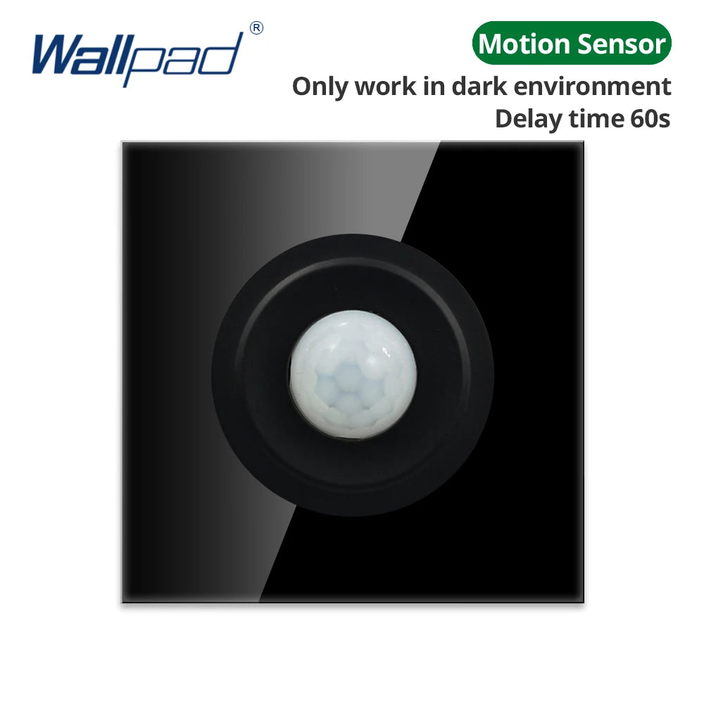 Wallpad Black Glass Panel With Large Circle Blue LED Indicator Wall Light Switch and Socket Round Button Electric Outlet