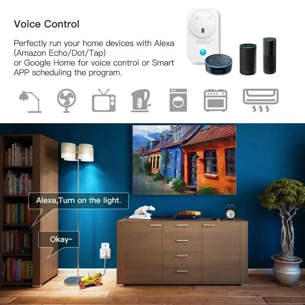 Shawader Tuya Wifi Smart USB Type-C PD 20W Wall Socket Universal Electrical Plug Outlet Power Switch Wireless,Alexa Google Home